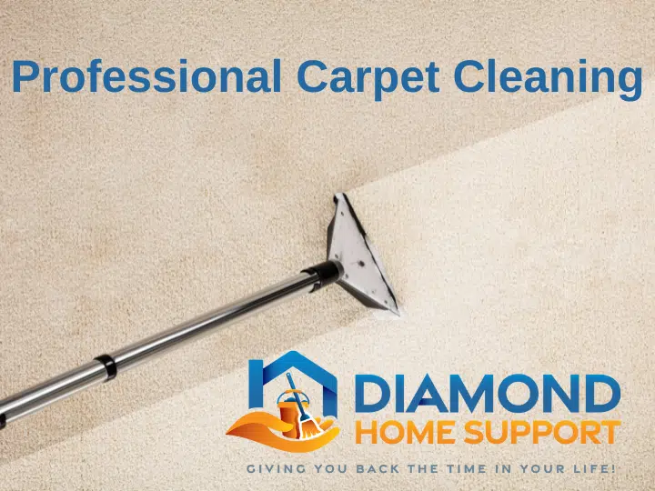 Professional Carpet Cleaning in Plymouth Professional Carpet Cleaning in Plymouth