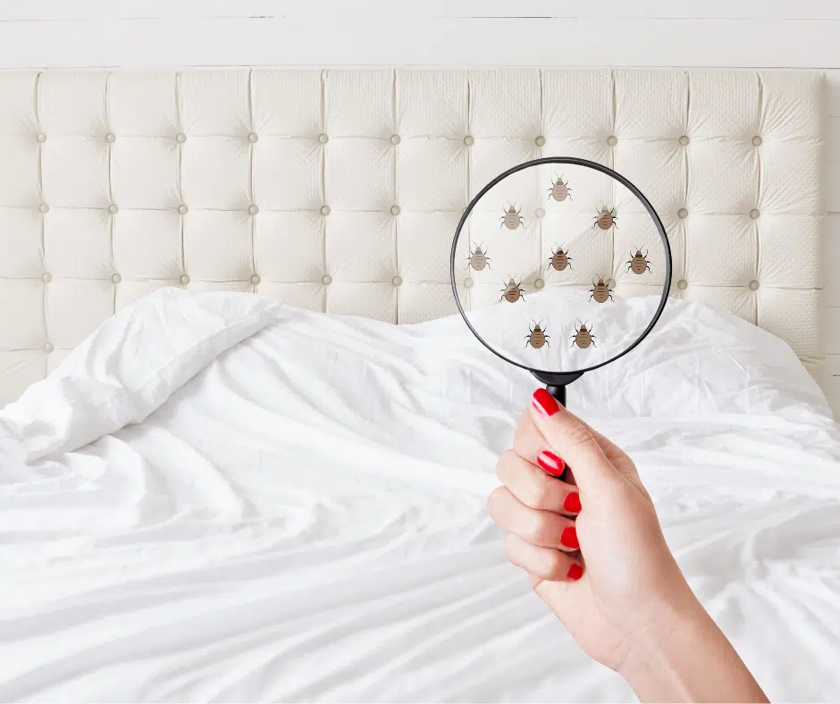 The Ultimate Guide to Cleaning Your Mattress