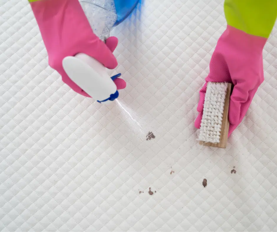 guide to mattress cleaning guide to mattress cleaning