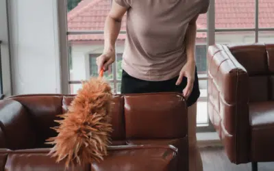 The Ultimate Guide to Dusting Your Home Like a Pro