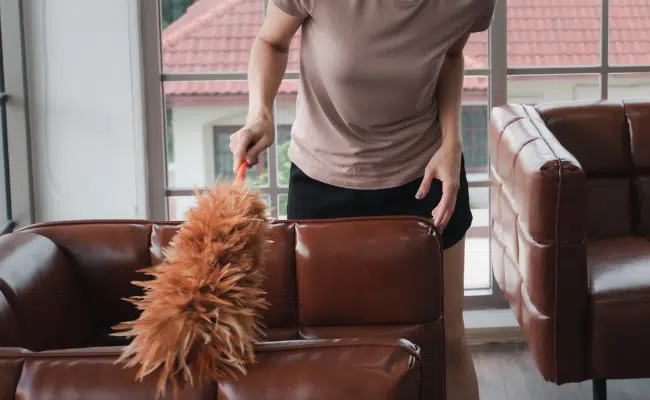 The Ultimate Guide to Dusting Your Home Like a Pro