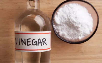 10 Uses for Vinegar in Your Cleaning Routine