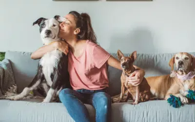 How to Remove Pet Hair With Rubber Gloves
