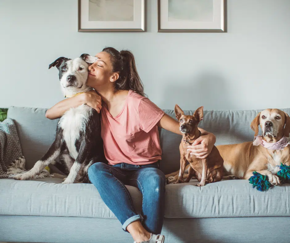 how to remove pet hair with rubber gloves