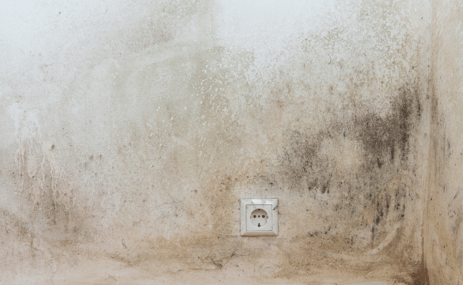 how to clean mould from kitchen cupboards