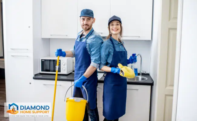 what skills do domestic cleaners need