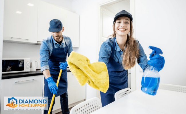 what skills do domestic cleaners need