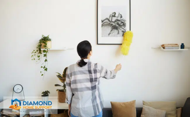 best tools for dusting