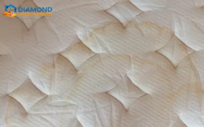 How To Clean Urine From A Mattress