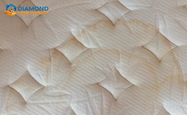 how to clean urine from a mattress