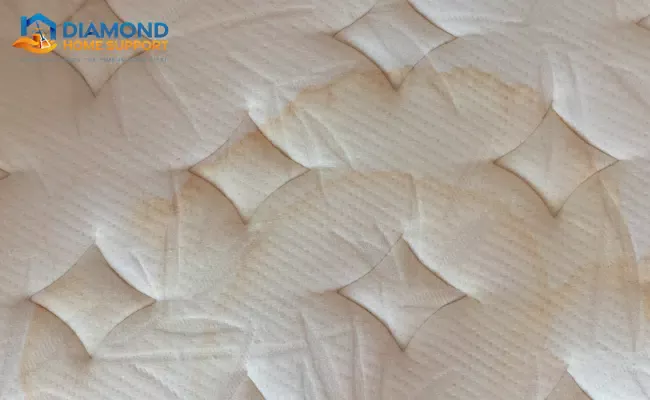 how to clean urine from a mattress