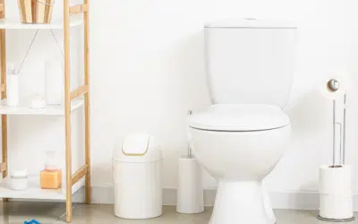 How to Clean a Toilet Brush