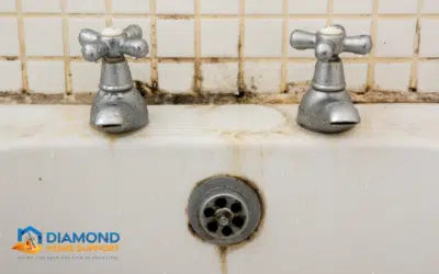 Tips For Preventing Mould And Mildew In Bathrooms