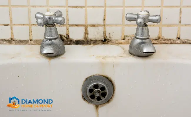Tips For Preventing Mould and Mildew In Bathrooms