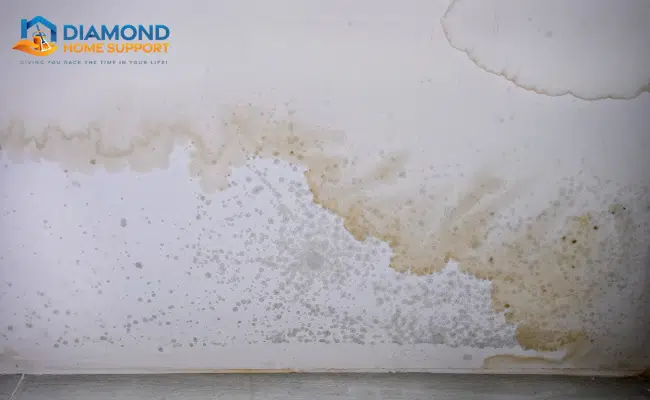 Tips For Preventing Mould and Mildew In Bathrooms
