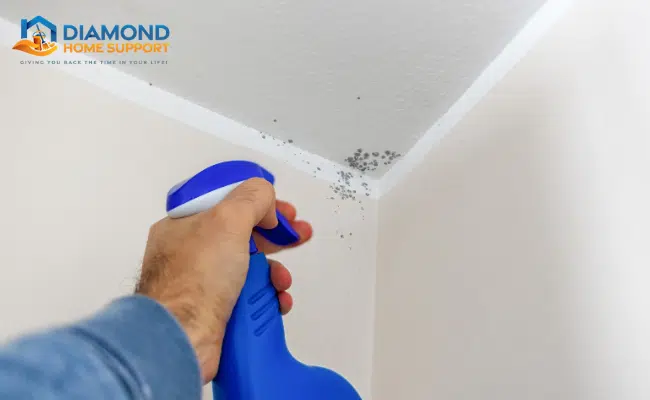 Tips For Preventing Mould and Mildew In Bathrooms