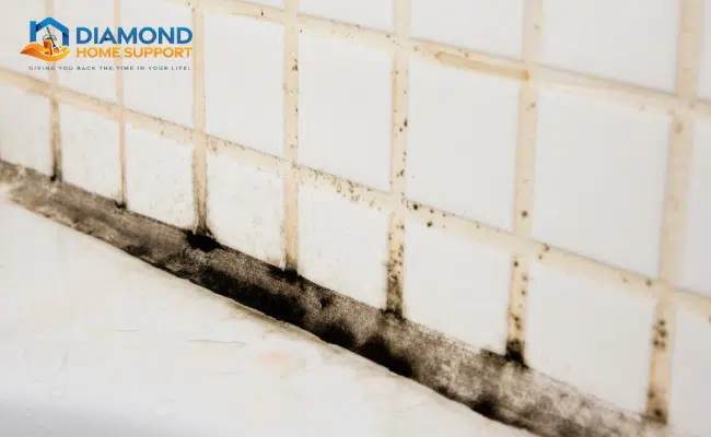Tips For Preventing Mould and Mildew In Bathrooms