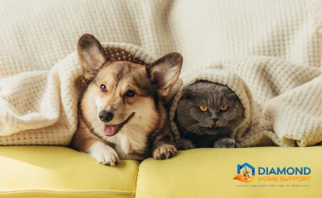 10 Cleaning Tips For Pet Owners