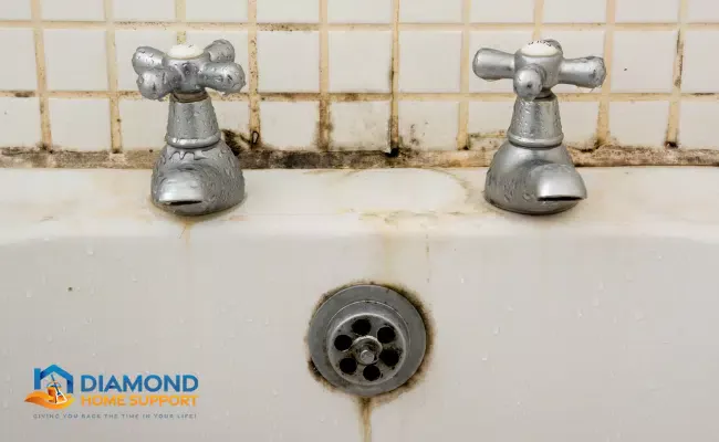 Tips For Preventing Mould and Mildew In Bathrooms