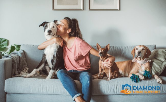 cleaning tips for pet owners