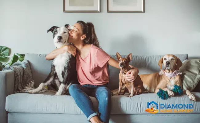 cleaning tips for pet owners