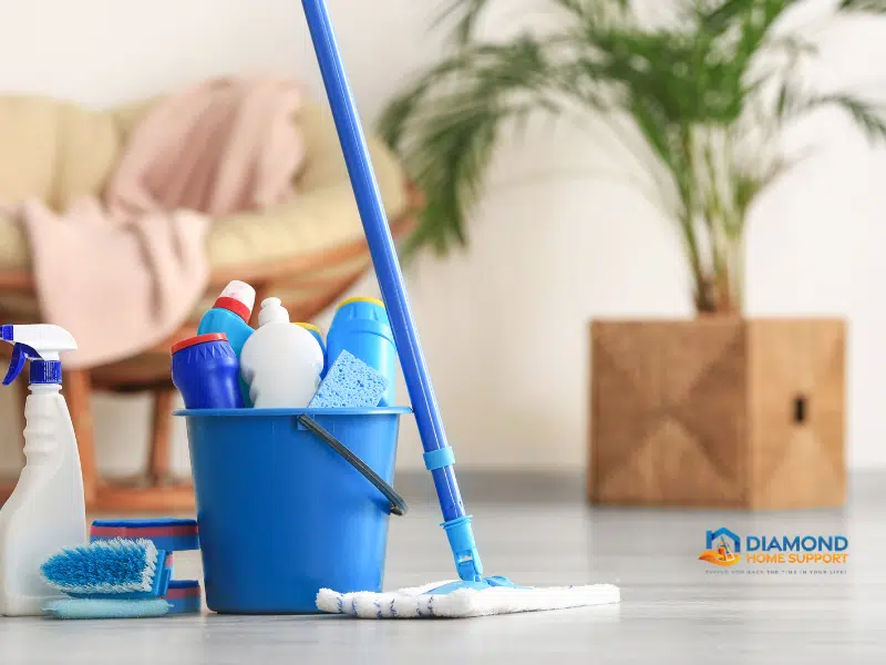 domestic cleaning services