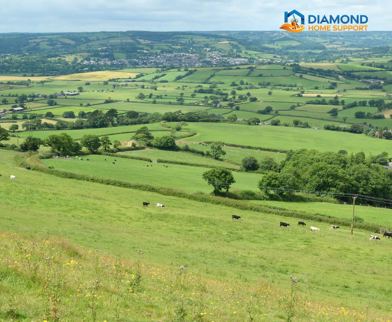 house cleaning services in East Devon