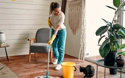 What Are House Cleaning Services?