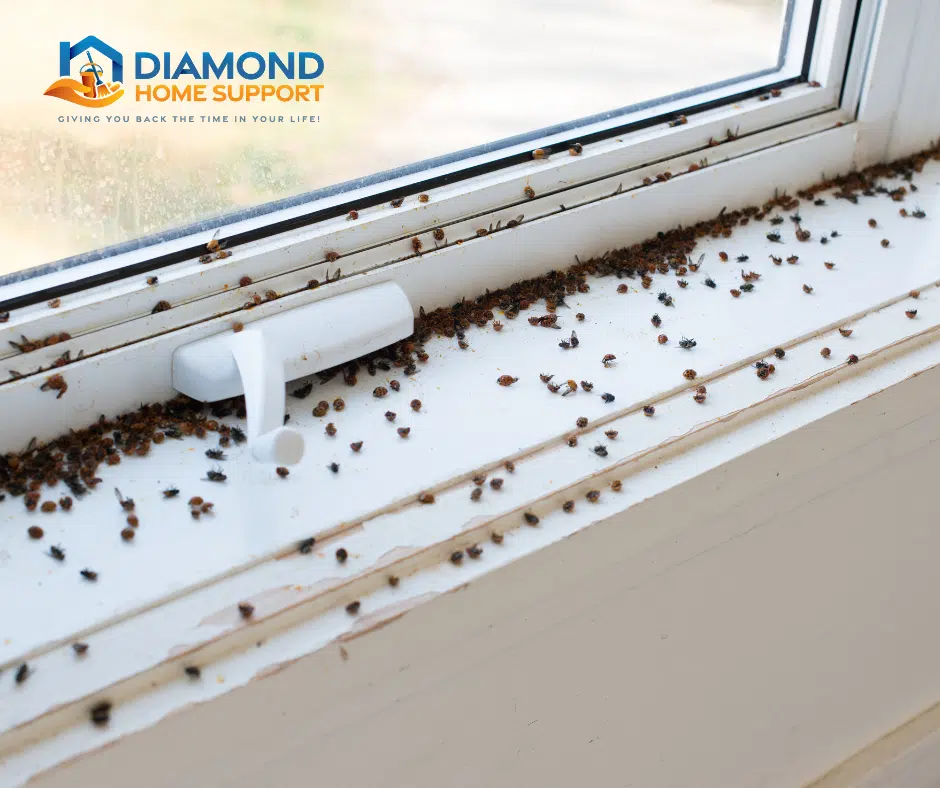 How To get Rid Of Fruit Flies From Your Kitchen 2 how to get rid of fruit flies from your kitchen