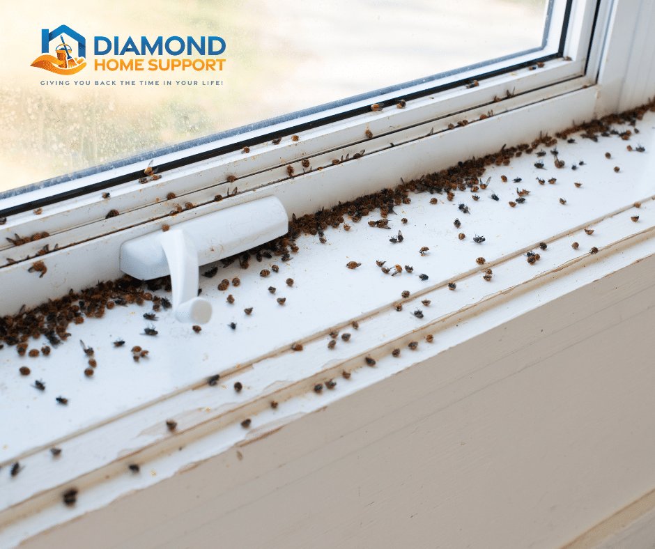 how to get rid of fruit flies from your kitchen