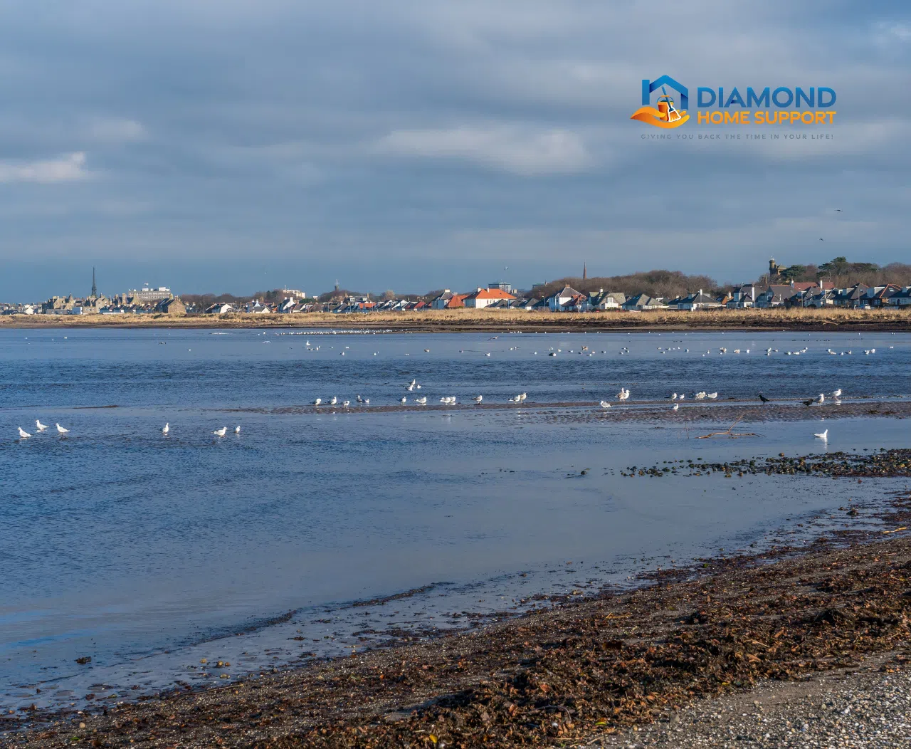 Domestic cleaning available across Ayr, KA7, KA8 and KA9